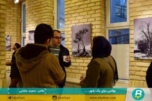 نمایشگاه درختان رضا رضوی موحد (1)
