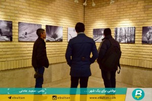 نمایشگاه درختان رضا رضوی موحد (2)