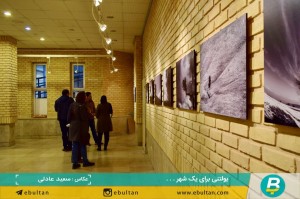 نمایشگاه درختان رضا رضوی موحد (5)