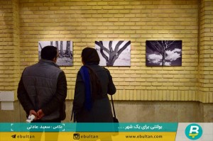 نمایشگاه درختان رضا رضوی موحد (7)