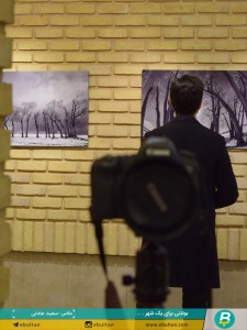 نمایشگاه درختان رضا رضوی موحد (9)