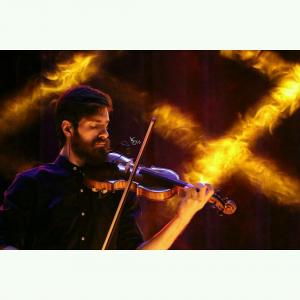 تصویری از  کنسرت علی زند وکیلی 14